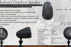 Pendent- Speaker
